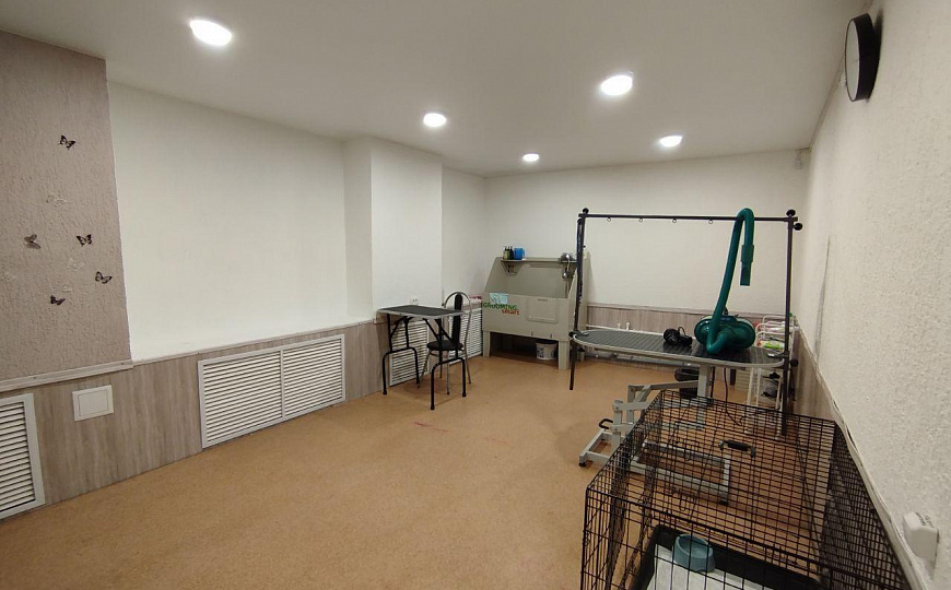 Помещение свободного назначения, 25 м² фото