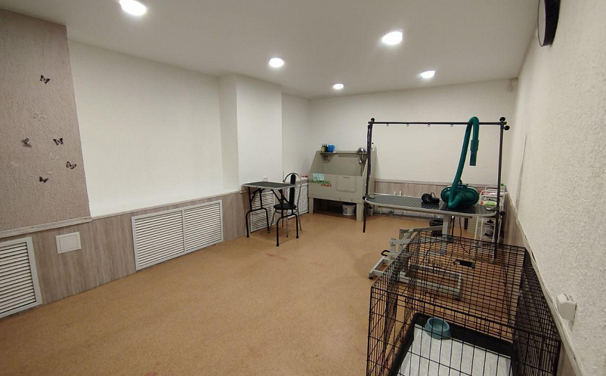 Помещение свободного назначения, 25 м² фото