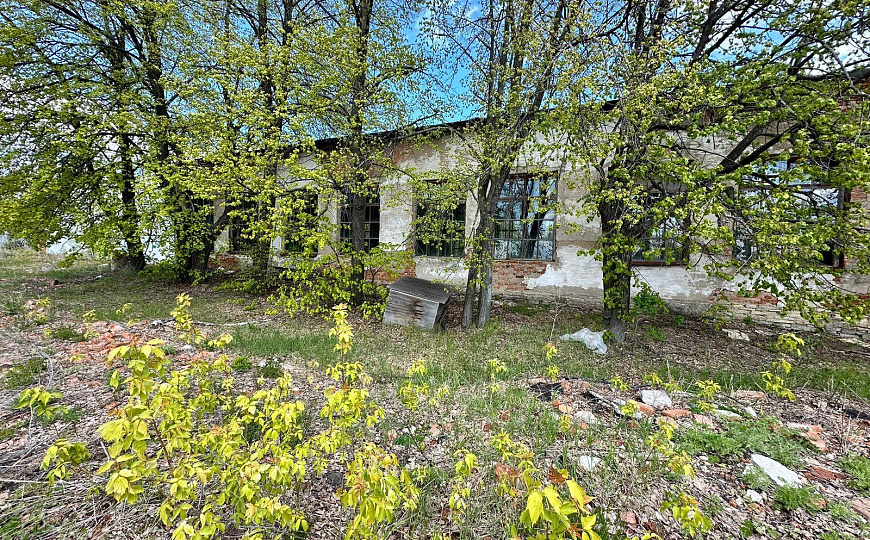 Продается отдельно стоящее здание 450 м² фото