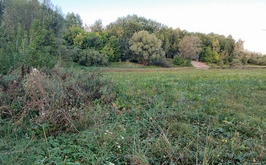 Земельный участок с возможностью расширения, 20 соток фото