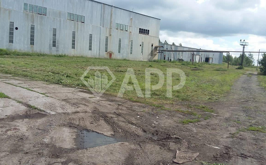 Продам производственное здание 10 000 кв.м. фото