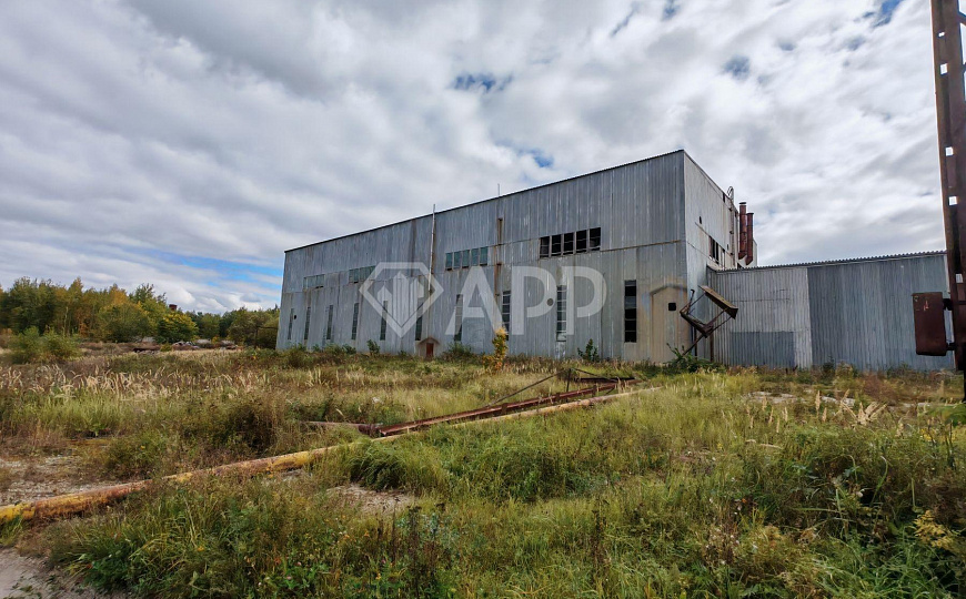 Продам производственное здание 10 000 кв.м. фото
