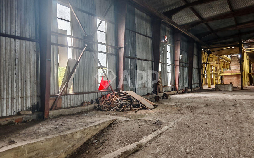 Продам производственное здание 10 000 кв.м. фото