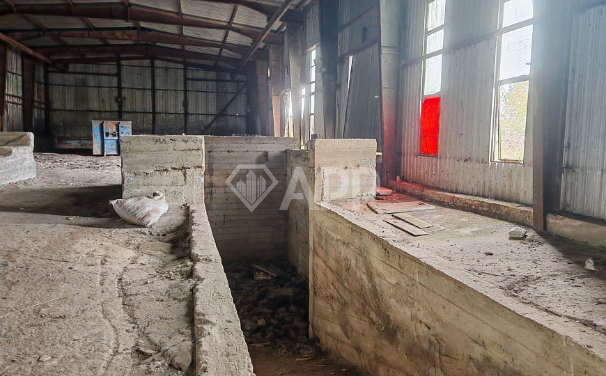 Продам производственное здание 10 000 кв.м. фото