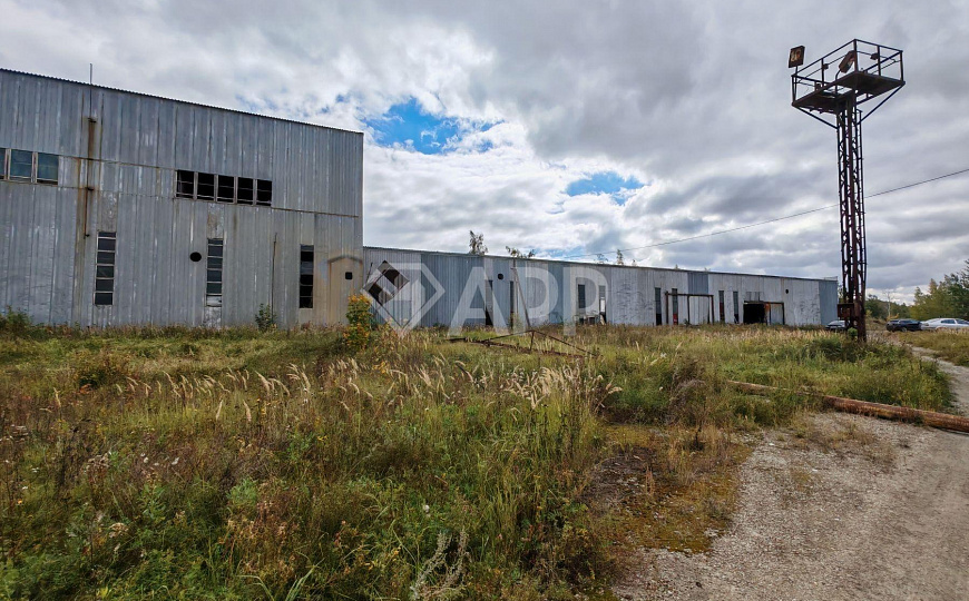 Продам производственное здание 10 000 кв.м. фото