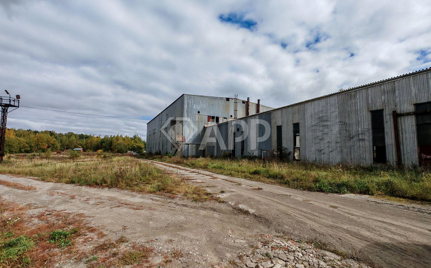 Продам производственное здание 10 000 кв.м. фото