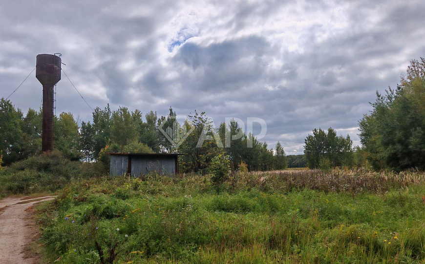 Продам производственное здание 10 000 кв.м. фото