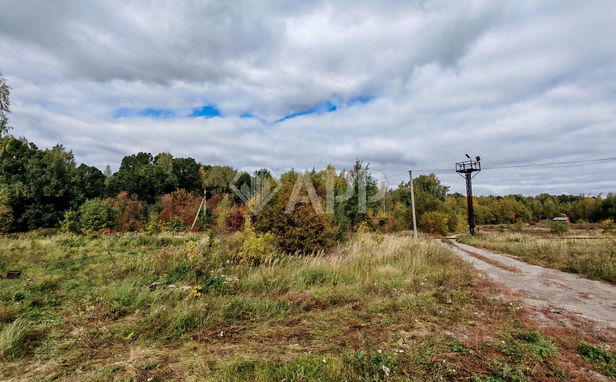 Продам производственное здание 10 000 кв.м. фото