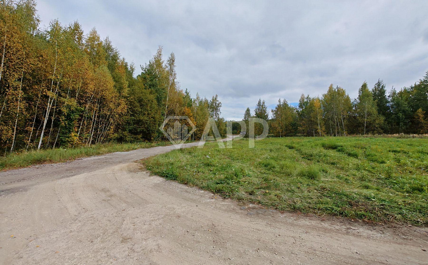 Продам производственное здание 10 000 кв.м. фото