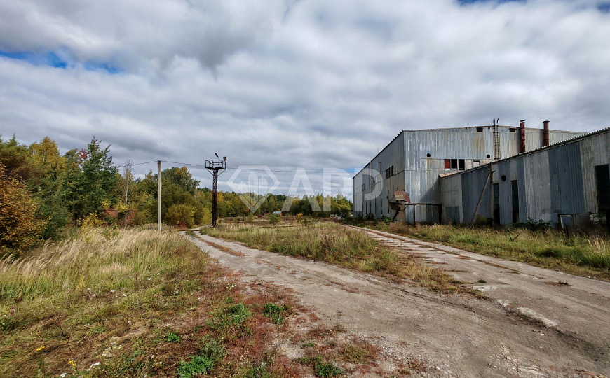Продам производственное здание 10 000 кв.м. фото
