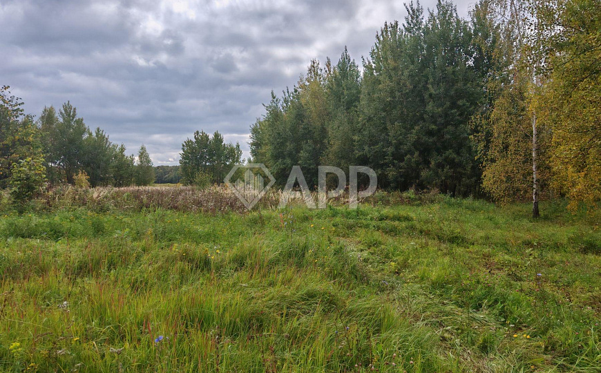 Продам производственное здание 10 000 кв.м. фото