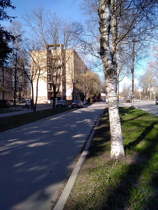 Сдам помещение свободного назначения, 16 м² фото