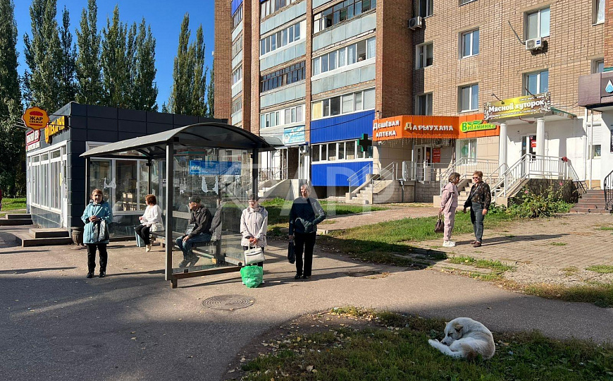 Большой трафик фото