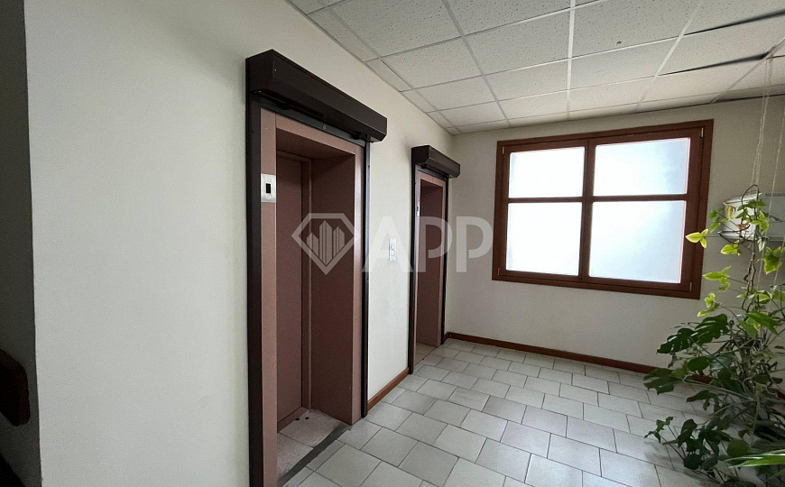 Офис. Центр. ЦГБ.49м2. фото