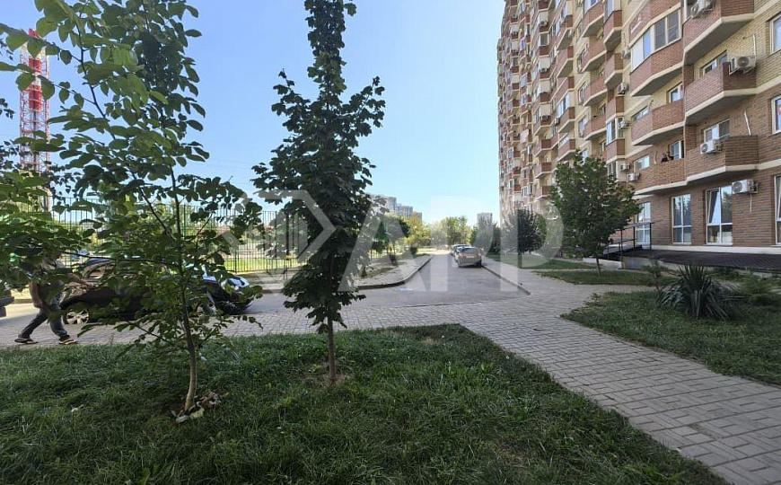 Сдаю помещение свободного назначения, 313 м² фото