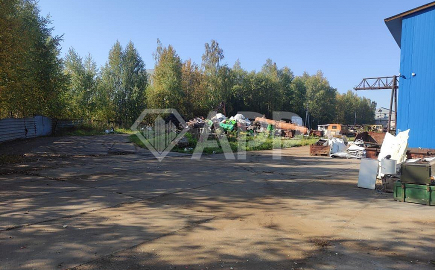 Продажа производственно-складского помещения 200кв и земельного участка 24 сотки фото