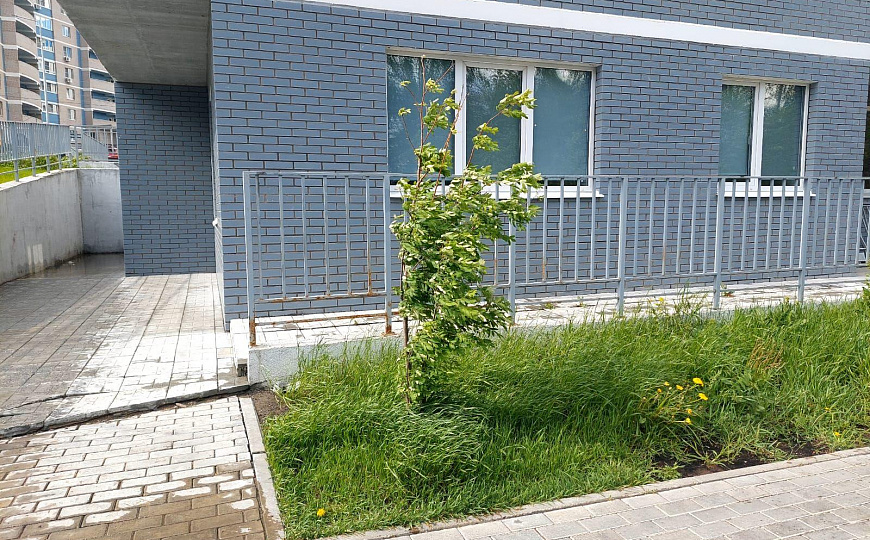 Помещение свободного назначения фото