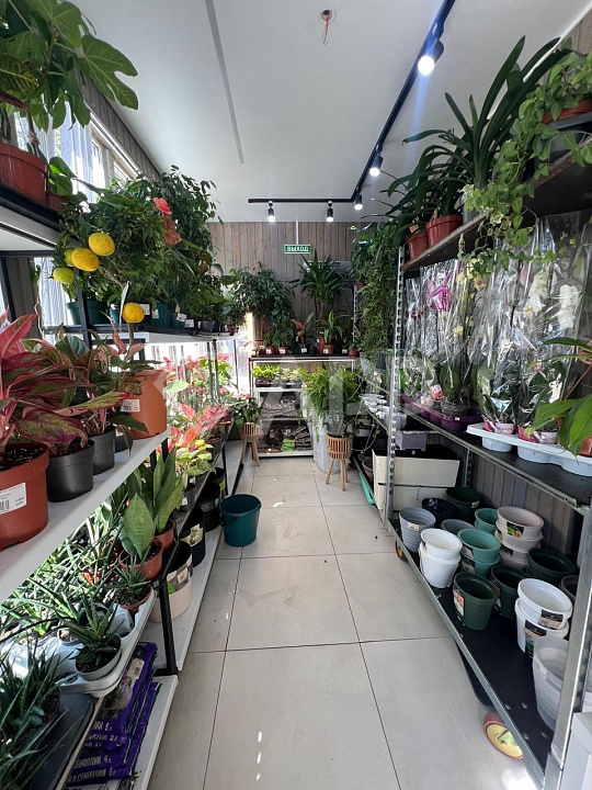 Сдам помещение свободного назначения, 30 м² фото