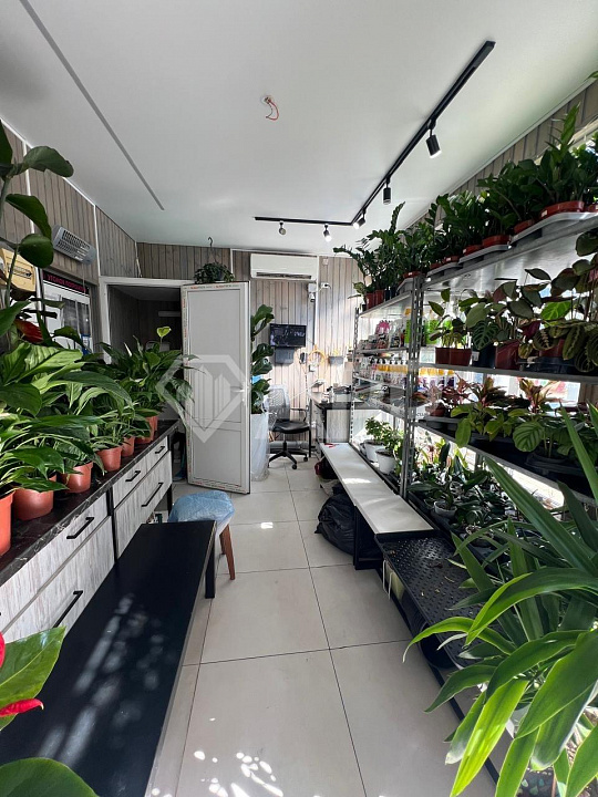 Сдам помещение свободного назначения, 30 м² фото