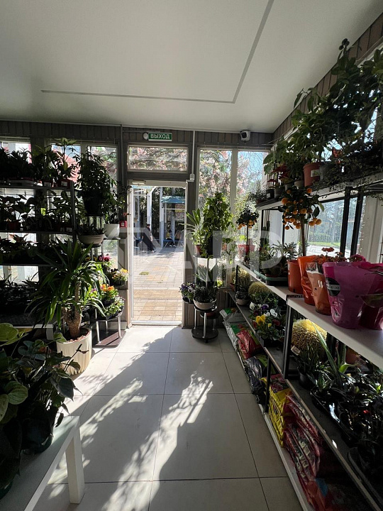 Сдам помещение свободного назначения, 30 м² фото