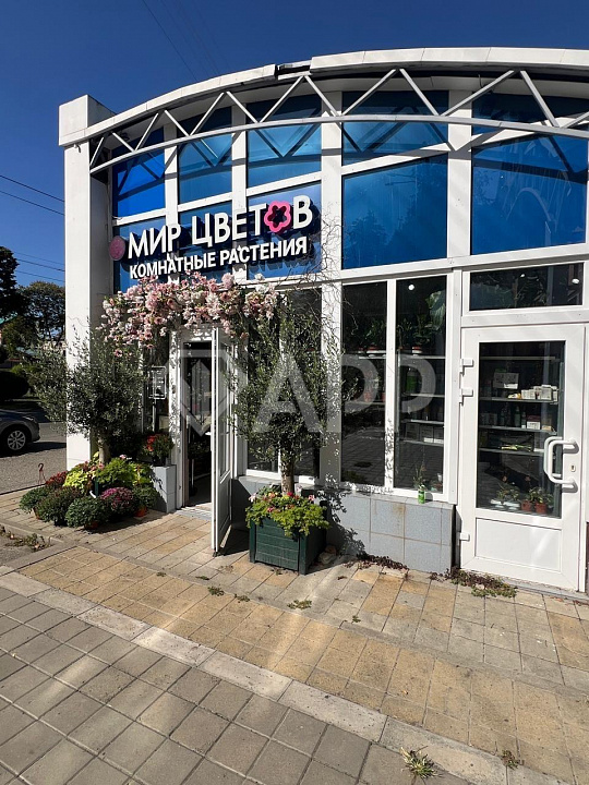 Сдам помещение свободного назначения, 30 м² фото