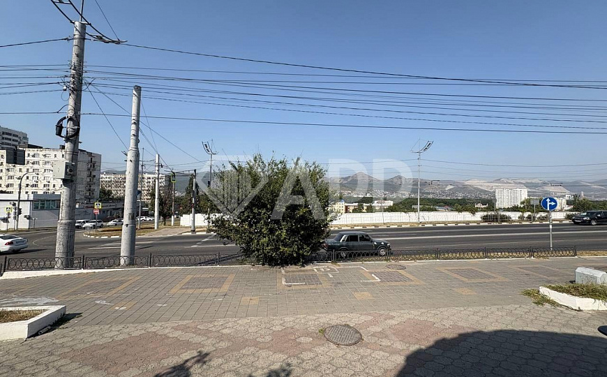 Сдаю помещение общественного питания, 367 м² фото