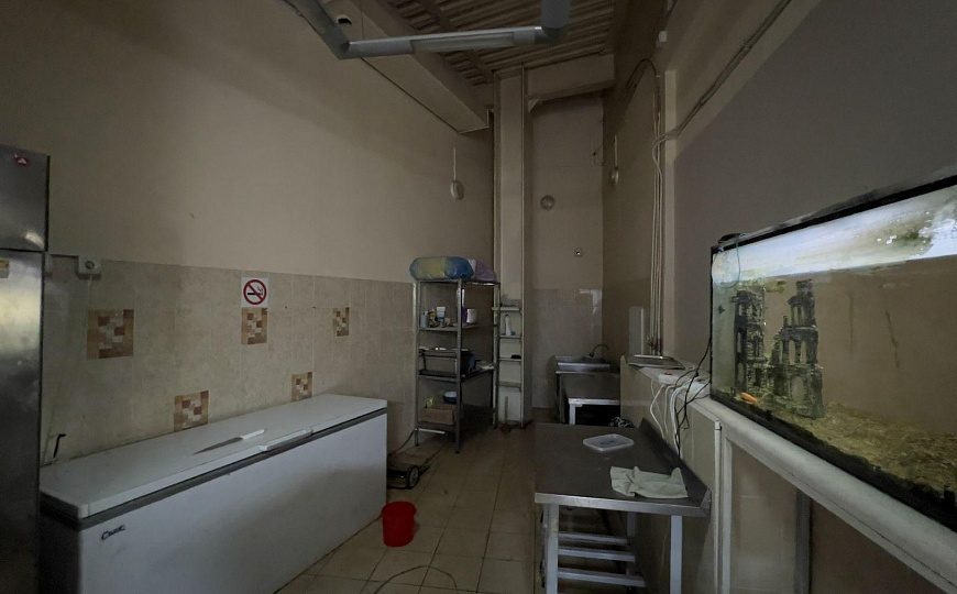 Сдам помещение свободного назначения, 70 м² фото