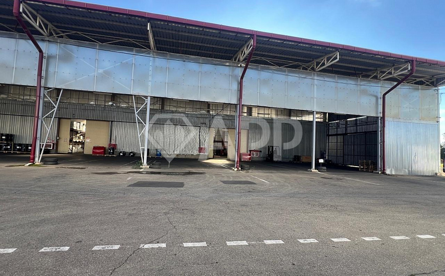 Сдам помещение свободного назначения, 320 м² фото