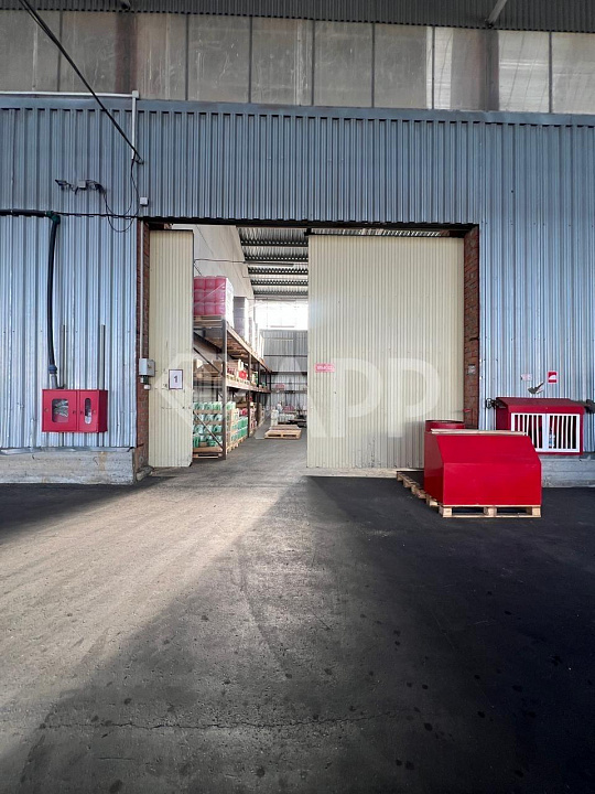 Сдам помещение свободного назначения, 320 м² фото