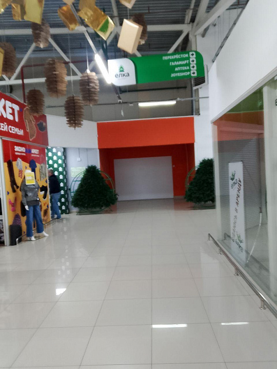 Продаётся действующий торговый центр "Ёлка", расположенный в историческом центре города фото