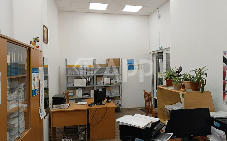 Сдаю торговое помещение , 500 м² фото