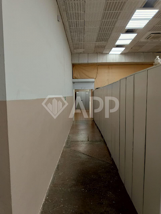 Сдаю торговое помещение , 500 м² фото