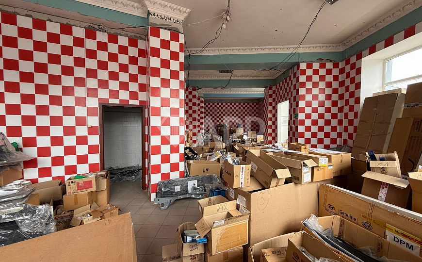 Сдам помещение свободного назначения, 530 м² фото