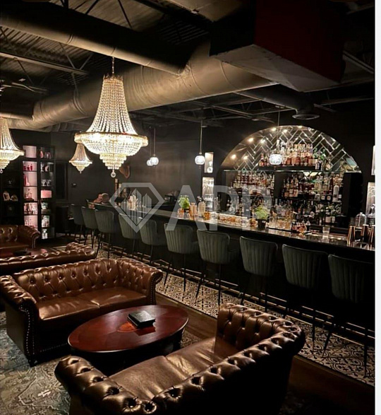 Помещение свободного назначения/Пивной паб/Ресторан 250м2 фото