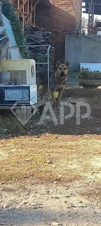 Сдам землю в проходном месте фото
