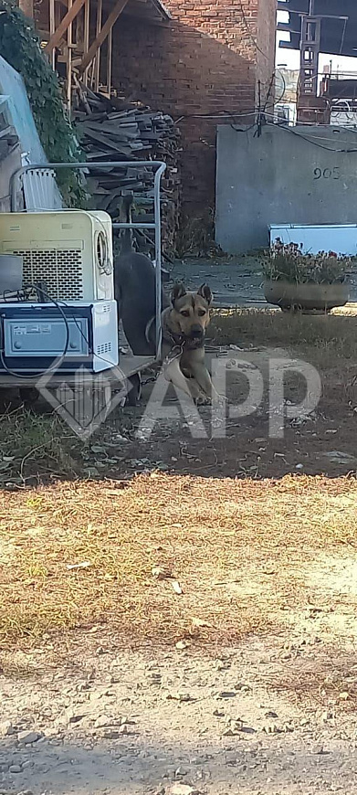 Сдам землю в проходном месте фото