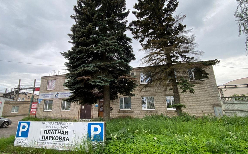 Сдам офисное помещение, 263 м² фото