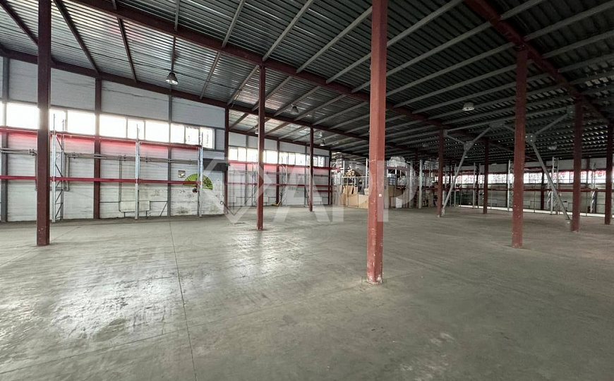 Сдам помещение свободного назначения, 500 м² фото