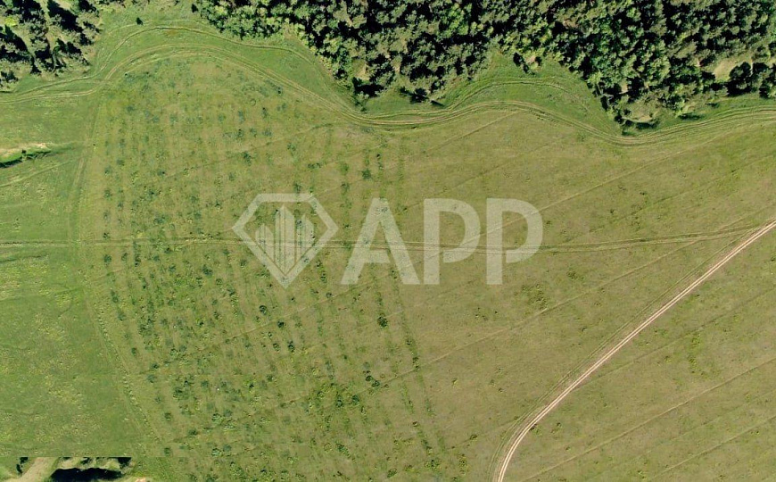 Участок ИЖС 36,9Га фото