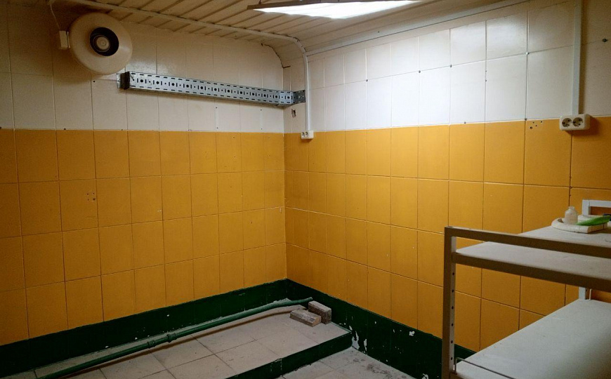 Сдам помещение свободного назначения, 490 м² фото