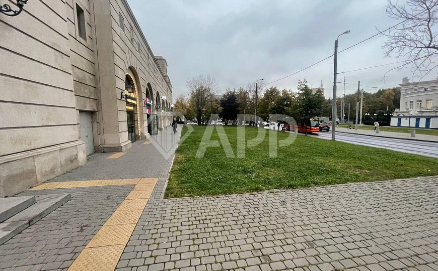 Сдам подвал на трафике фото