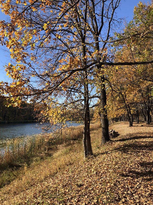 Продажа земельного участка под малоэтажную застройку, 4 га фото