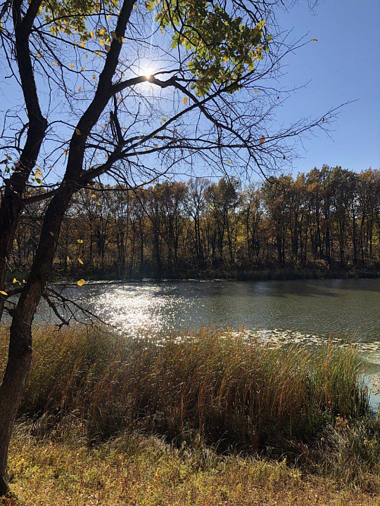 Продажа земельного участка под малоэтажную застройку, 4 га фото