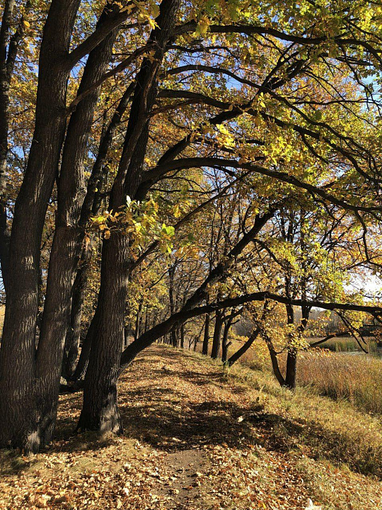 Продажа земельного участка под малоэтажную застройку, 4 га фото