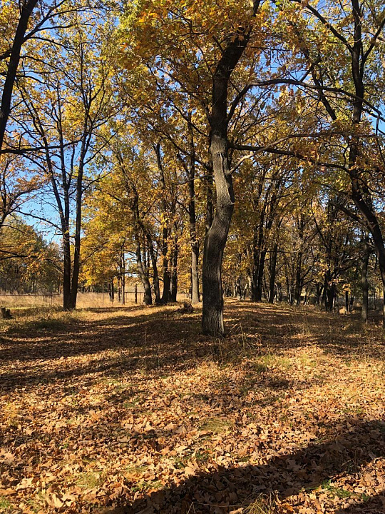 Продажа земельного участка под малоэтажную застройку, 4 га фото