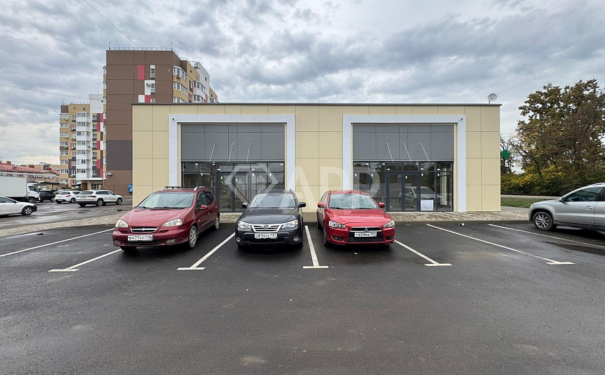 Сдаю помещение свободного назначения, 46,38 м² фото