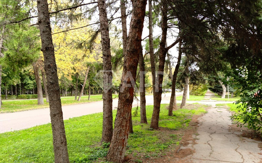 Сдаю отдельно стоящее здание, 46,4 м² фото