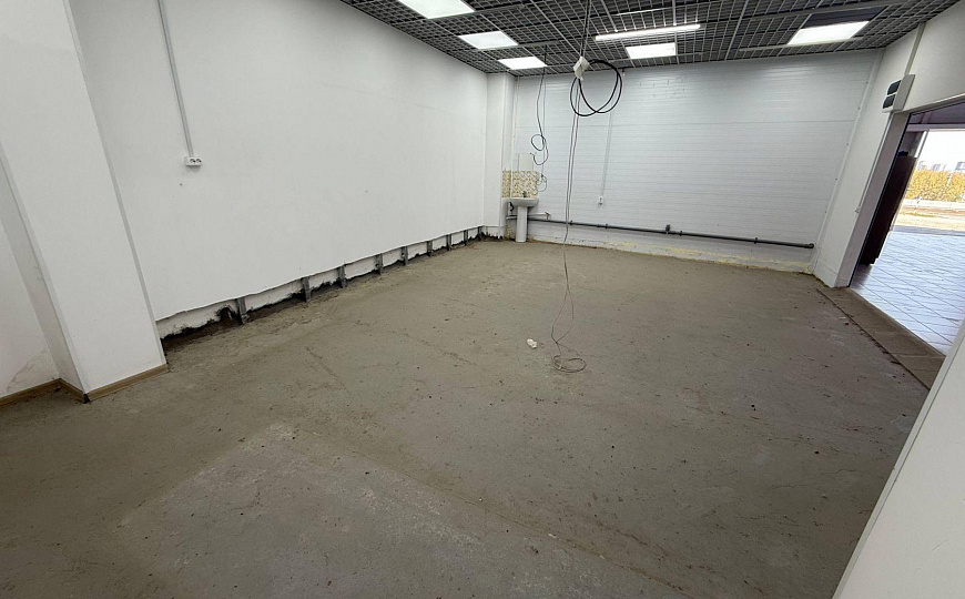 Магазин/Чижик/Магнит/40м2 и 60м2 фото