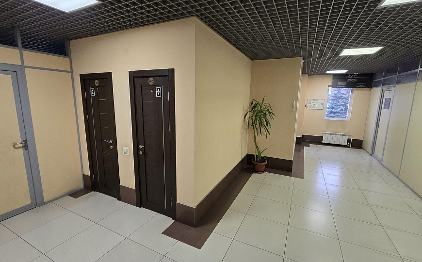Сдам помещение свободного назначения, 150 м² фото