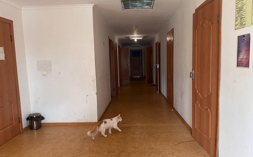 Готовый арендный бизнес  860м2 фото